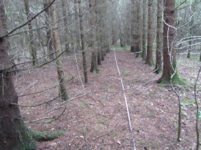 14_8 Salcey cmpt 15 161