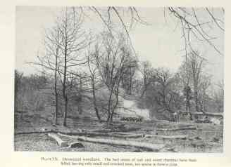 devastated woodland 1947 census