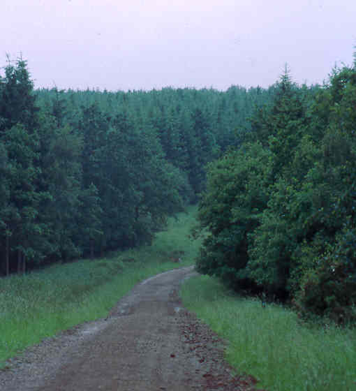 From the dark to the&nbsp;light