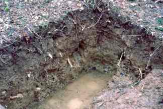 3.1 soil pit