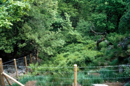 86_6 Padley Gorge exclosure