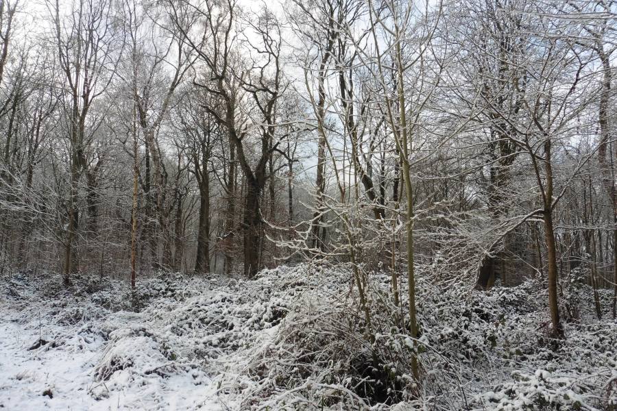 If winter comes , can spring be far&nbsp;behind