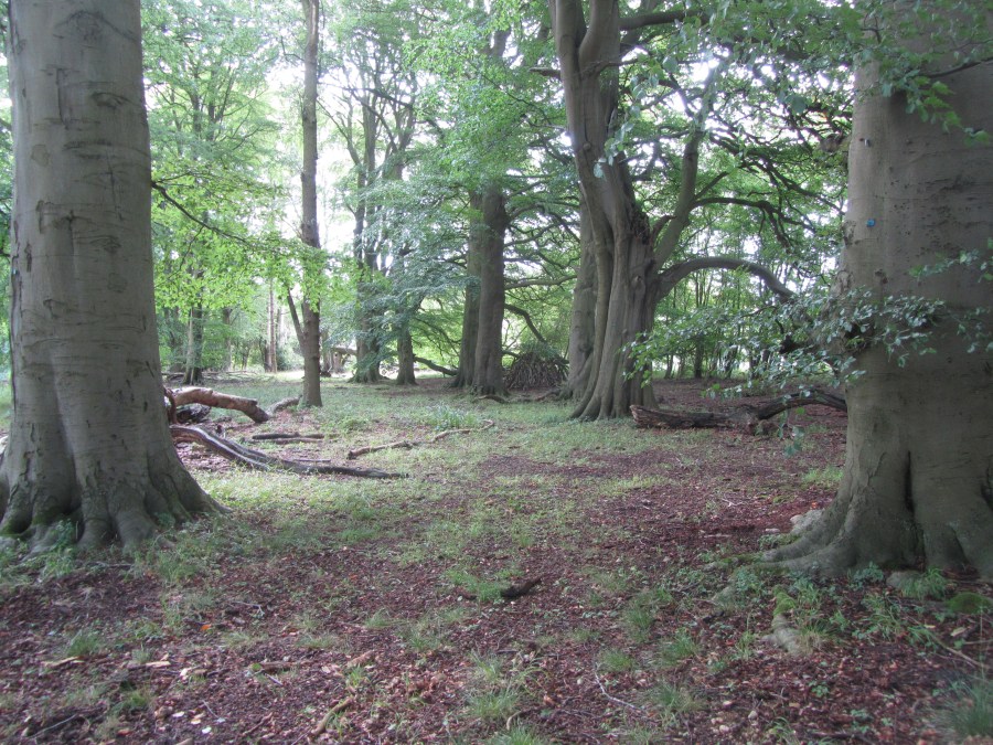 A missed opportunity?