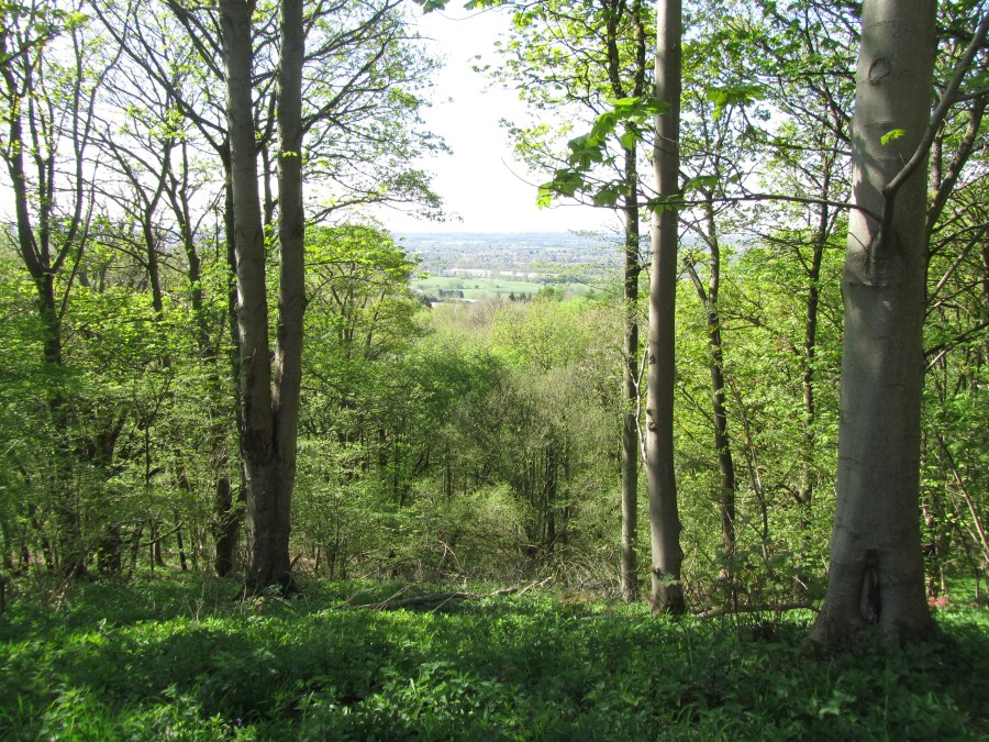 When do you stop recording a long-term&nbsp;study?