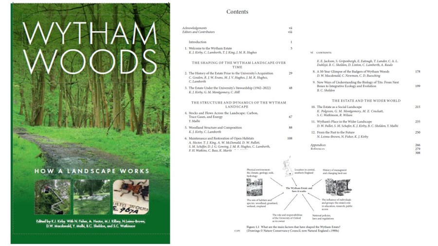 Oxford in the murk now; a warmer murk in&nbsp;future?