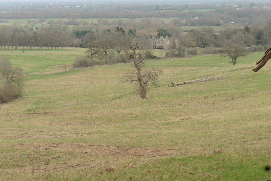 Wytham Park
